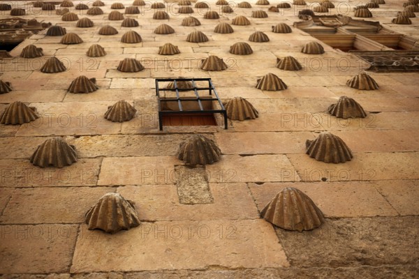 Casa de las Conchas shell house in Salamanca of Spain