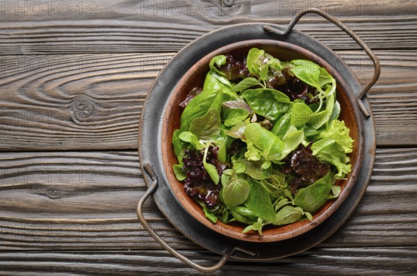 Top view at clay dish with green and violet lettuce, lamb's lettuce salad with oregano flowers on vintage metal tray