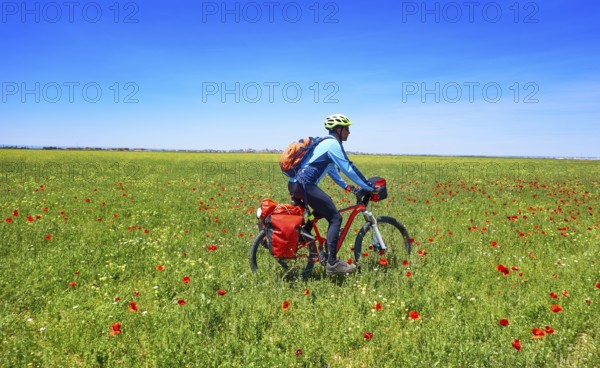 Biker by Camino de Santiago in bicycle at Saint James Way of Levante of Spain