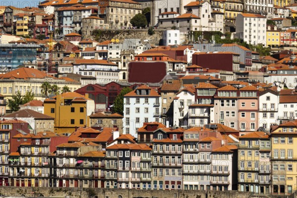 Colorful Houses of Porto Ribeira, Traditional Facades. Old Buildings with Red Roof Tiles in the city of Porto, Portugal. Medium Telephoto Shot