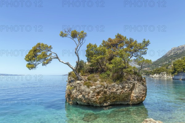 Stone Brela (Kamen Brela) near Punta Rata Beach along the Adriatic Sea in Brela, Croatia, Europe