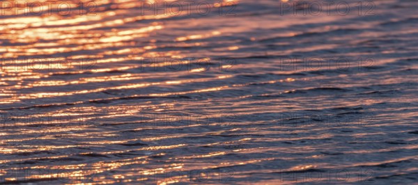Sunset Water Surface, Water Surface, Sea surface, Water background