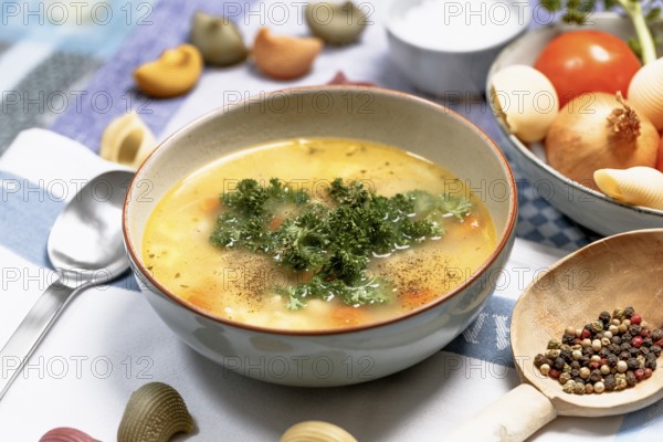 Chicken noodle soup with carrots and parsley