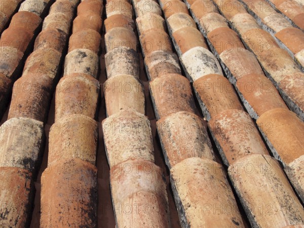 A close up of old curved orange terracotta pantiles on a roof