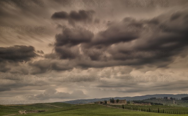 Vineyards in Tuscany under a dramatic cloudy sky