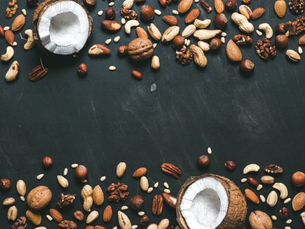 Background of mixed nuts - coconut, hazelnuts, walnuts, almonds, pecan, pistachio, brazil nut, pine nuts, peanut - on dark background. Copy space. Top view or flat lay