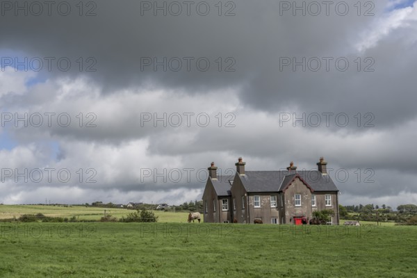 Farm near Kinsale, County Cork, Ireland, United Kingdom, Europe