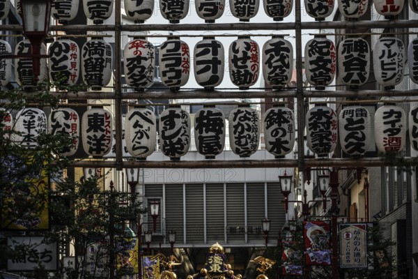 Sanja Matsuri lanterns and portable shrine. Shooting Location: Tokyo metropolitan area