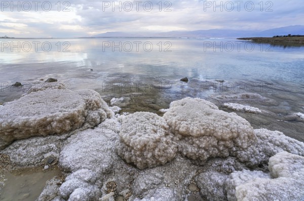 Sand und Steine mit kristallinem Salz am Ufer des Toten Meeres bedeckt, klarer Wasserhintergrund - typische Morgenlandschaft am Strand Ein Bokek, Israel, Asia