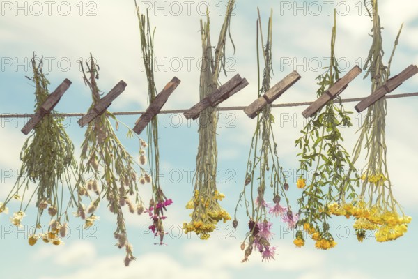 Different types of herbs dried in the shade on a rope against the blue sky. Shallow depth of field. Coloring and processing photo with soft focus in instagram style