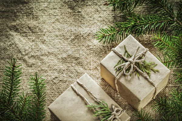 Present boxes thuya pine tree branch on sacking background