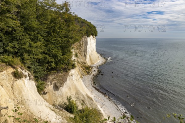 Rügen's coast