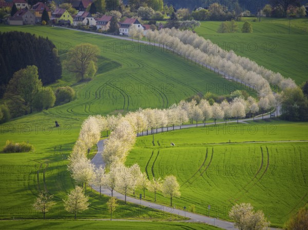 Sunset at Adamsberg, Altendorf, Saxony, Germany, Europe