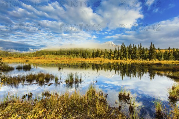 Patricia Lake among the firs and pines. Water reflects the sky. Cool cloudy morning in the Rocky Mountains. The concept of extreme and ecotourism