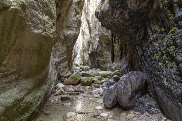 Avagas Gorge in the western part of Cyprus