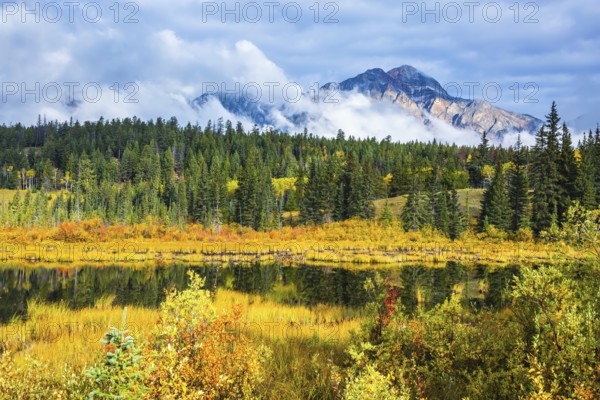Lake amongst the evergreen forests, yellowed shrubs and mountains. Warm autumn day in Jasper Park, Canadian Rockies