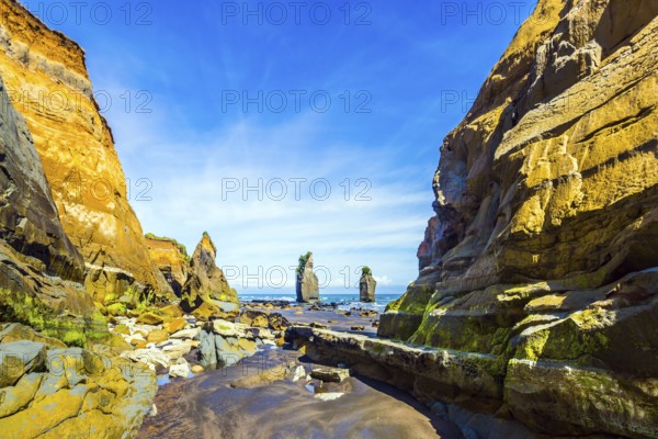 Picturesque rocks Three Sisters on the Pacific coast. North Island, New Zealand. The concept of active and phototourism