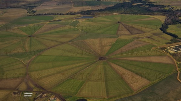 Irrigation system, agriculture, green areas, reservoir, forest, gravel road, Clarkson, Eastern Cape, South Africa, Africa