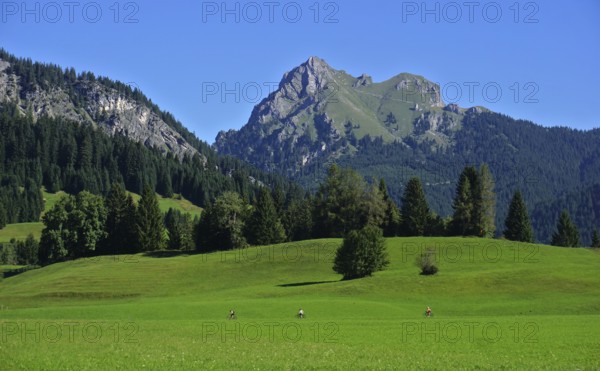 Tannheimer Tal near Tannheim-Grän, Tyrol, Austria, View of the Aggenstein, Tannheimer valley near Tannheim-Grän, Tyrol, Austria, View of the Aggenstein, Europe