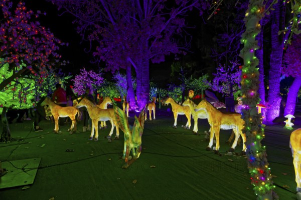 Illumi light show event, 25 million lights, the magical forest, Laval, Province of Quebec, Canada, North America