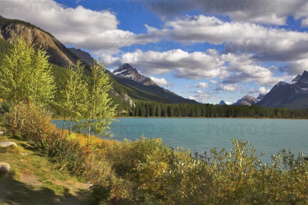 Northern lake surrounded by a wood and mountains in Canada