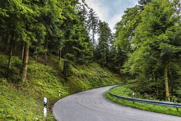 Teerstraße, die sich durch eine üppige grüne Landschaft mit Frühlingswald in einem Alpental schlängelt, in einem Reise- und Tourismuskonzept