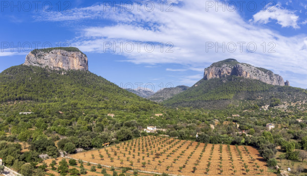 Puig del Castell d'Alaró 822 m and Puig d'Alcadena 817 m, Alaro, Majorca, Balearic Islands, Spain, Europe
