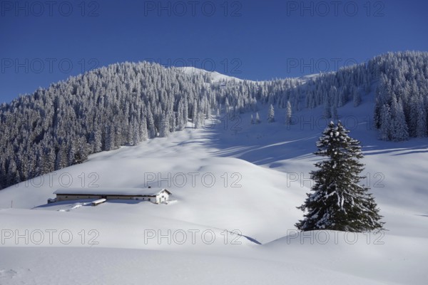 Bavaria mountains alps prealps alm alpe seekaralm seekakreuz lenggries bad_tölz tegernsee winter ripe white cold pattern fog flakes snowflakes bright idyll wind