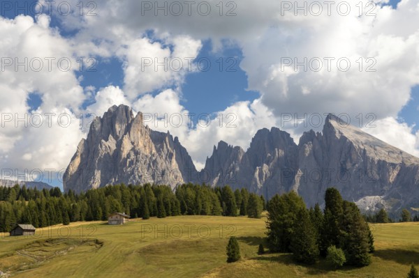 View over the Seiser Alm, Alpe di Siusi, to Langkofel and Plattkofel, South Tyrol