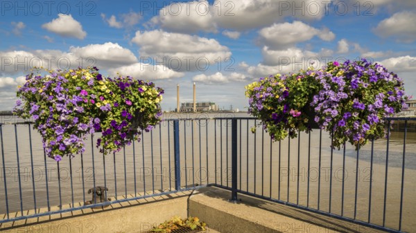 The shore of the River Thames in Gravesend, Kent, England, UK, with flower boxes and Tilbury Power Station
