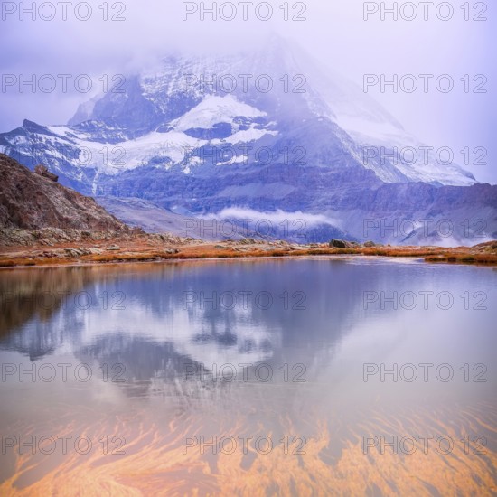 Colorful pink sunrise and reflection of Matterhorn mountain at Riffelsee lake, Zermatt Switzerland