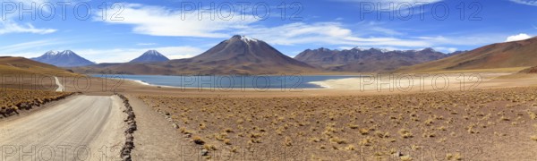 Laguna Miscanti in the Atacama Desert in Chile