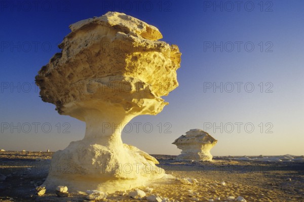 Rock in the white desert, porcini mushroom, mushroom formation, Egypt, Africa