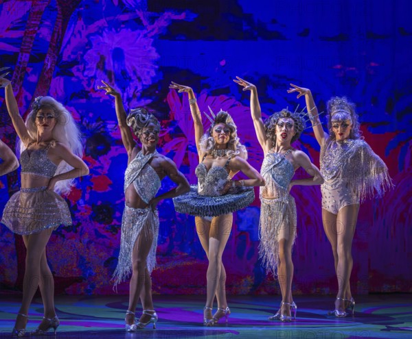 La Cage Aux Folles (A Cage Full of Fools)