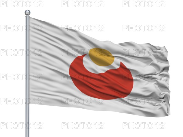 Unnann City Flag On Flagpole, Country Japan, Shimane Prefecture, Isolated On White Background