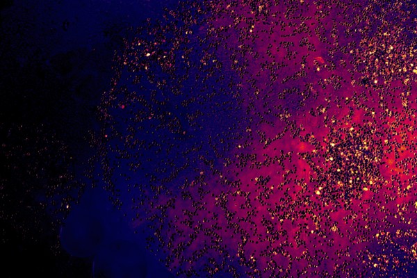 Oil bubbles inside water base form patterns