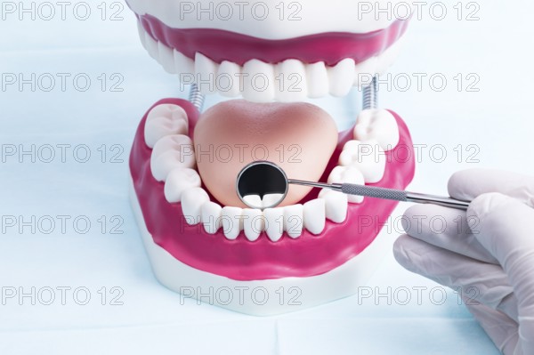The photo shows a dental model which is checked using a mouth mirror