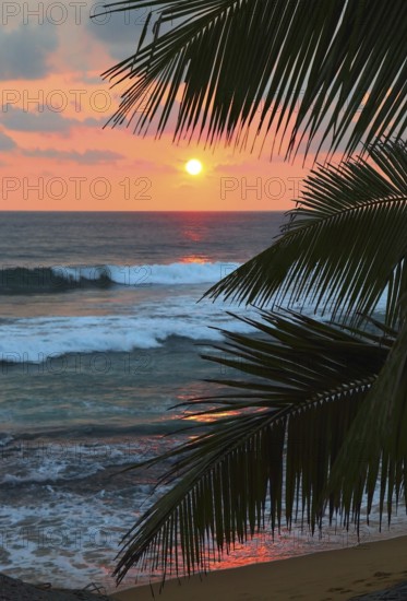 Beautiful sea sunset and palm leaves on foreground
