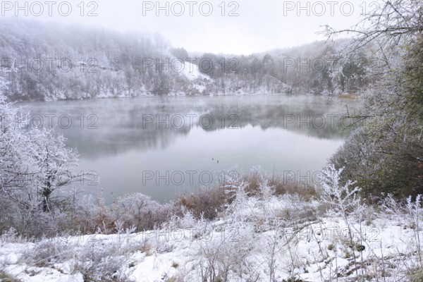 Forest lake in winter