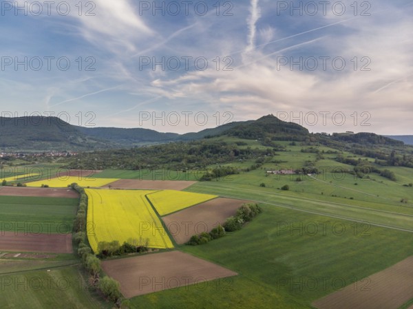 Fields in summer