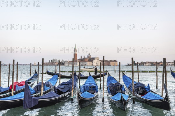 Gondolas tied up for the night, with Church San Giorgio Maggiore, Venice, Italy, Europe