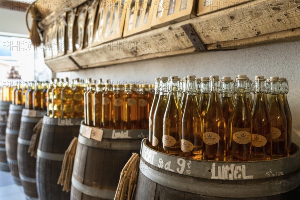 Saintes-Maries-de-la-Mer, France, 4 March, 2023: close-up view of many bottles of Muscatel wine from the Camargue region of southern France, Europe