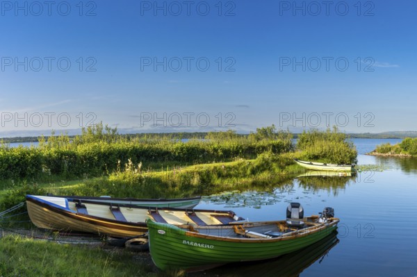 Buckode, Ireland, 15 July, 2022: warm evening light at Lough Melvin light with colorful wooden fishing boats in the foreground, Europe