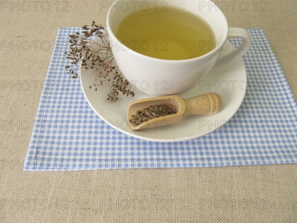 A cup of dill tea made from dill seeds, tea made from dill seeds