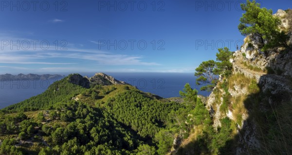Senda del Puig de Sa Talaia, área natural de la Victòria, Alcúdia, Mallorca, balearic islands, Spain, Europe