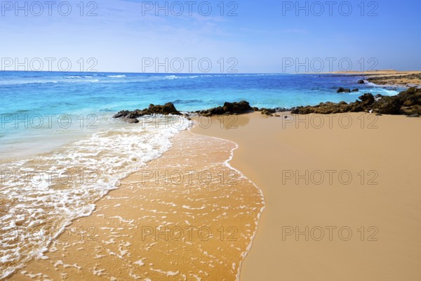 Beautiful beach in fuerteventura spain