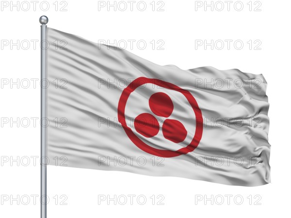 Roerich Flag On Flagpole, Isolated On White Background