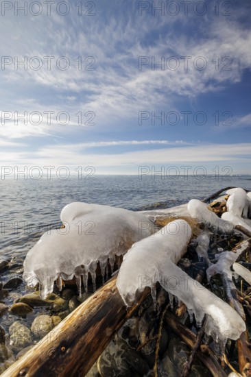 Branch covered with icicles lies on the lake under a slightly cloudy sky, harbour, Gohren, Lake Constance, Baden-Württemberg, Germany, Europe