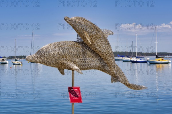 Stainless steel chain sculpture, Harmony, Dolphin Family, by Mike Van Dam, Soldiers Point, NSW, Australia, Oceania