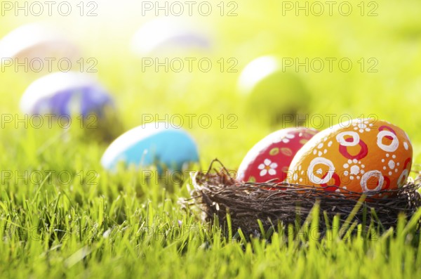 Easter eggs in the nest on green spring grass